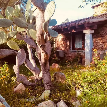Casa Smeralda Nordica Vakantiehuis